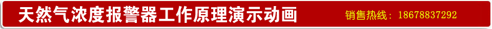 天然氣報(bào)警器工作原理演示動(dòng)畫